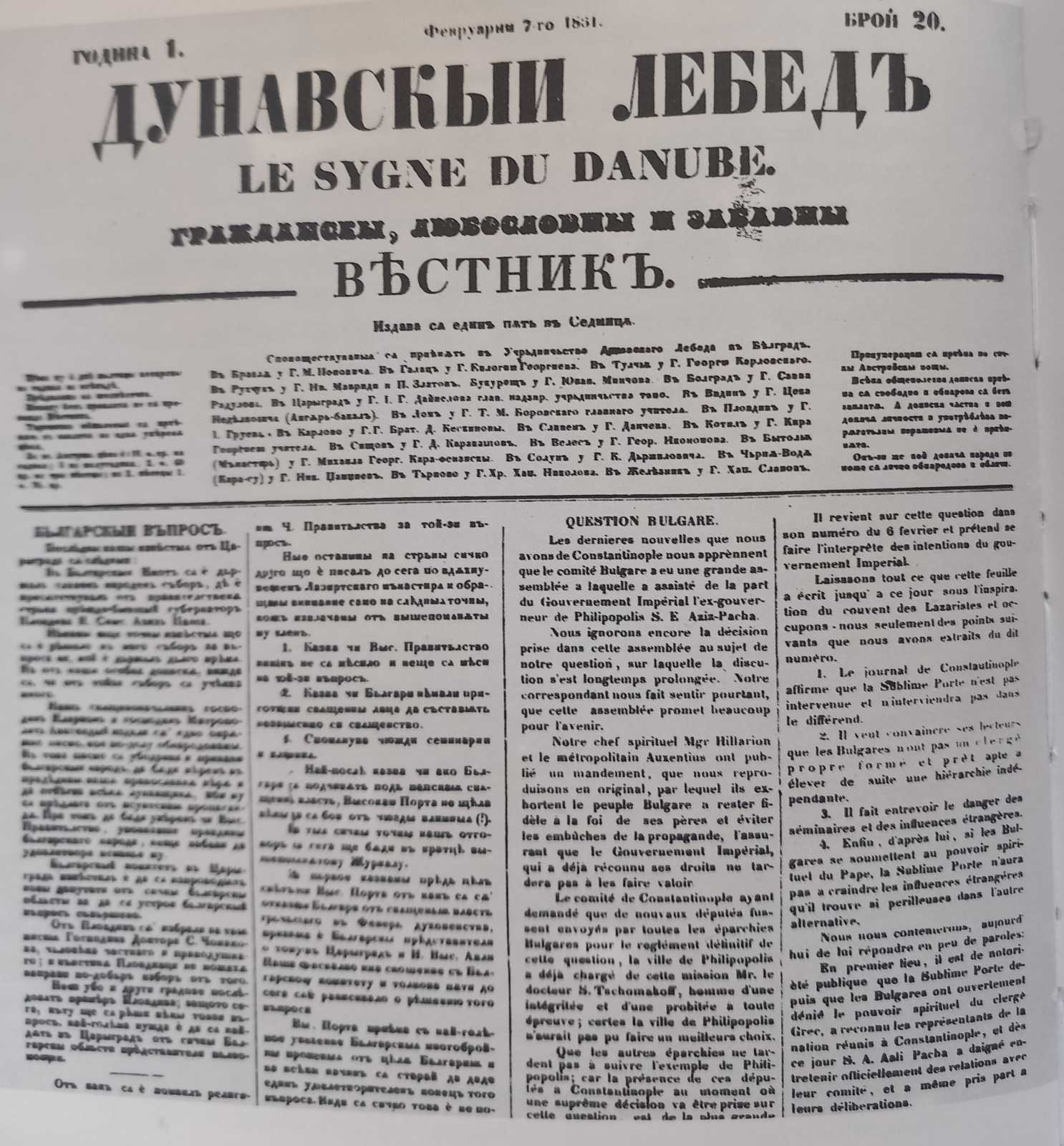 Дунавски лебед